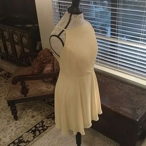Chiffon Open Back Skater Dress